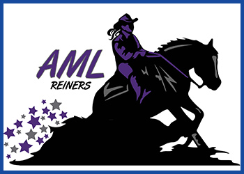 AML Reiners
