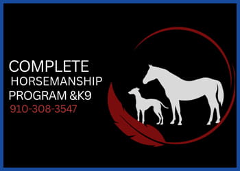 Complete Horsemanship
