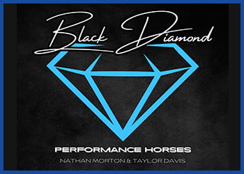 Black diamond